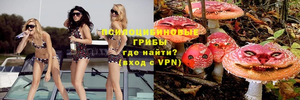 ALPHA-PVP Осинники