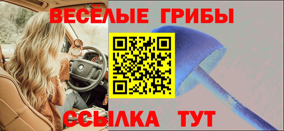 как найти наркотики  Вход с VPN  Ишимбай  Псилоцибиновые грибы Magic Shrooms 