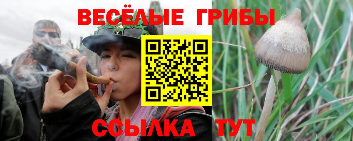 Галлюциногенные грибы Psilocybine cubensis Ишимбай